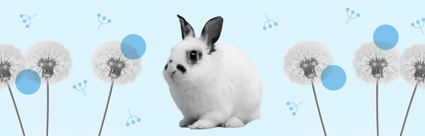 Pâques et pharmacie : une occasion de communiquer avec votre communauté